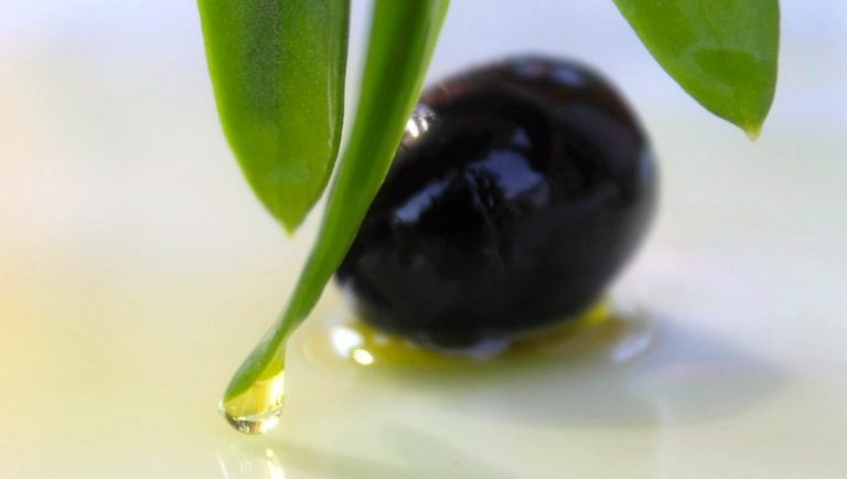 Olive mit Blättern im eigenen Öl